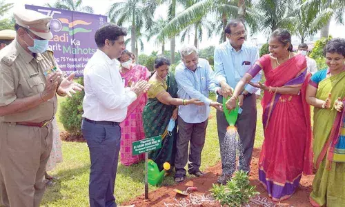 VSEZ Development Commissioner A Rama Mohan Reddy and others planting a sapling on the premises of Lee Pharma unit in Duvvada on Saturday