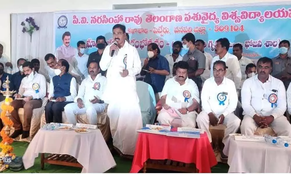 Agriculture Minister Singireddy Niranjan Reddy along with Animal Husbandy Minister Talasani Srinivas Yadav addressing a gathering in Pebbair after inagurating a hostel for students of Fisheries college on Tuesday