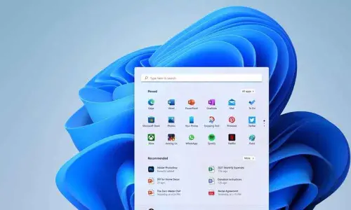 These Windows 11 apps will work only if you are connected