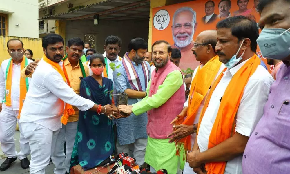 BJP MP Prakash Javadekar distributing saplings to students at Vardarajanagar in Tirupati on Wednesday