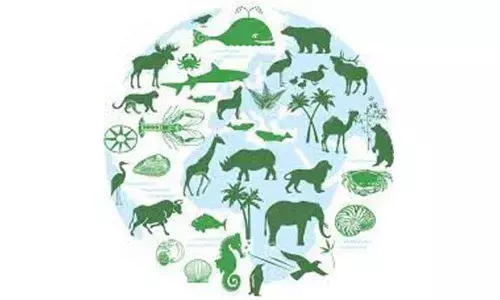 Representational Image