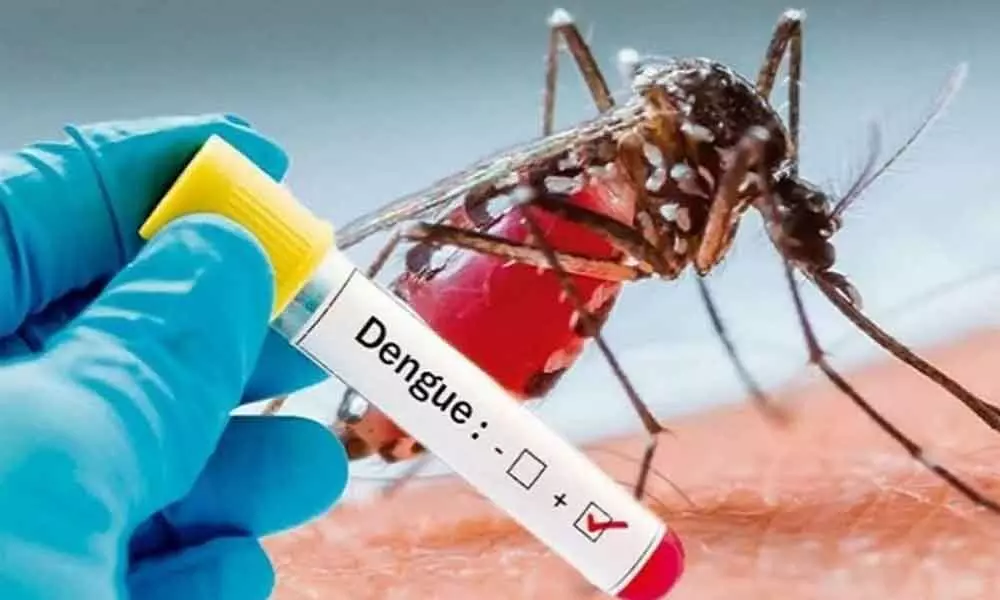 Dengue Sample - Representational Image
