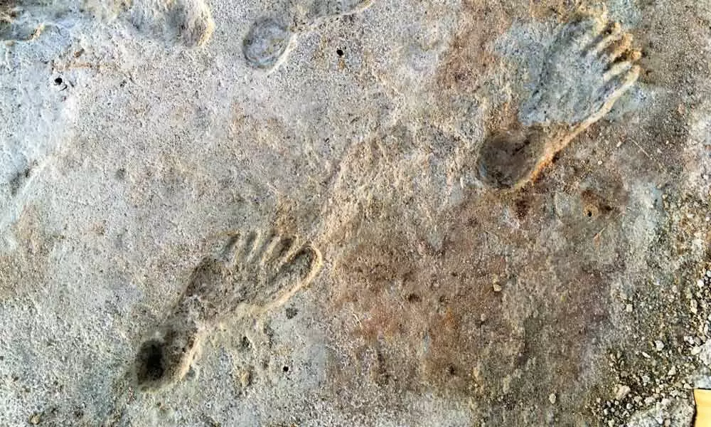 Early historic Known Evidence of Humans in North America Is Found In Fossil Footprints