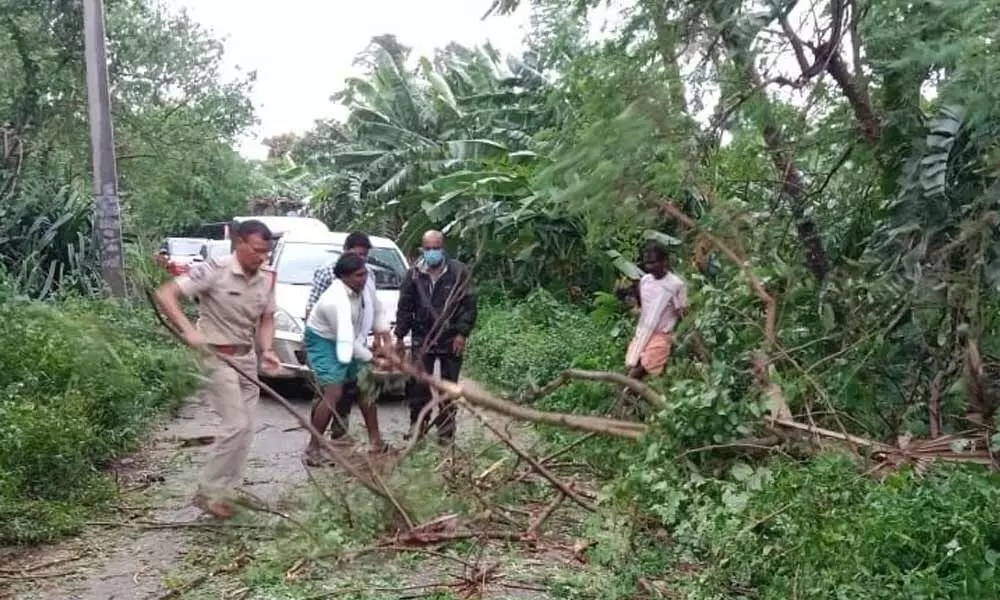 Police removing uprooted trees along with locals in Santhabommali mandal on Sunday