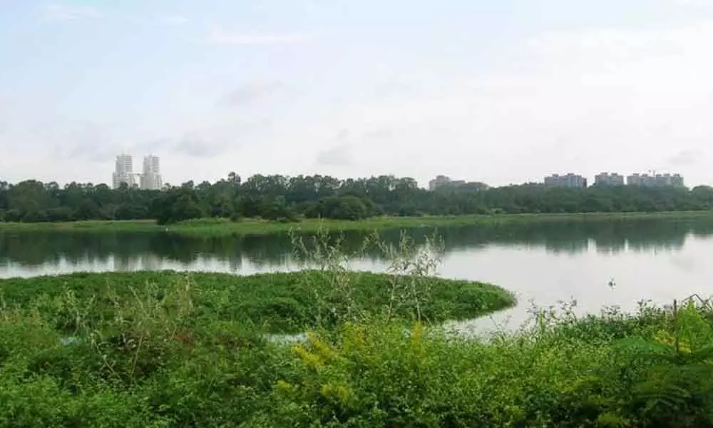 Minister Somanna tells BBMP to speed up Nayandahalli lake rejuvenation