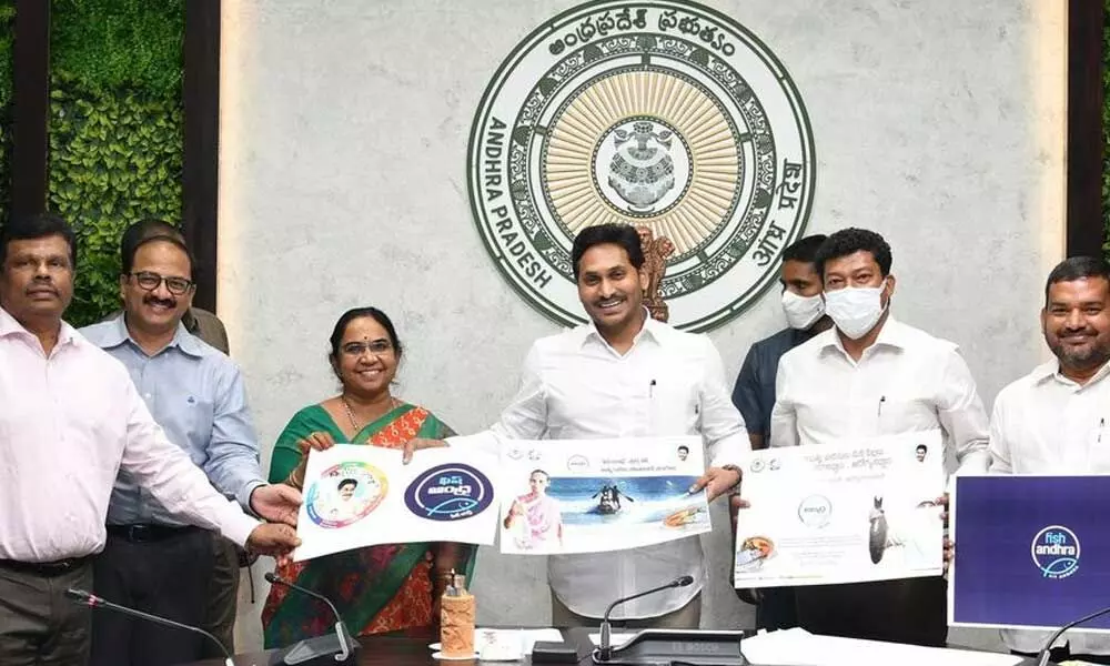 Chief Minister Y S Jagan Mohan Reddy releases Fish Andhra logo during a review on Amul Palavelluva and fisheries at his camp office in Tadepalli on Tuesday