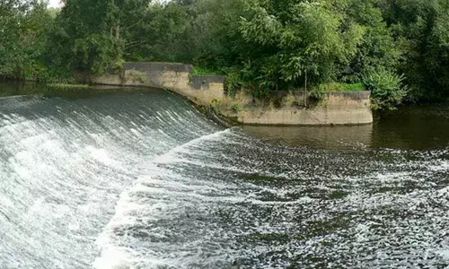 Ponds, lakes overflow as water levels rise due to heavy rain