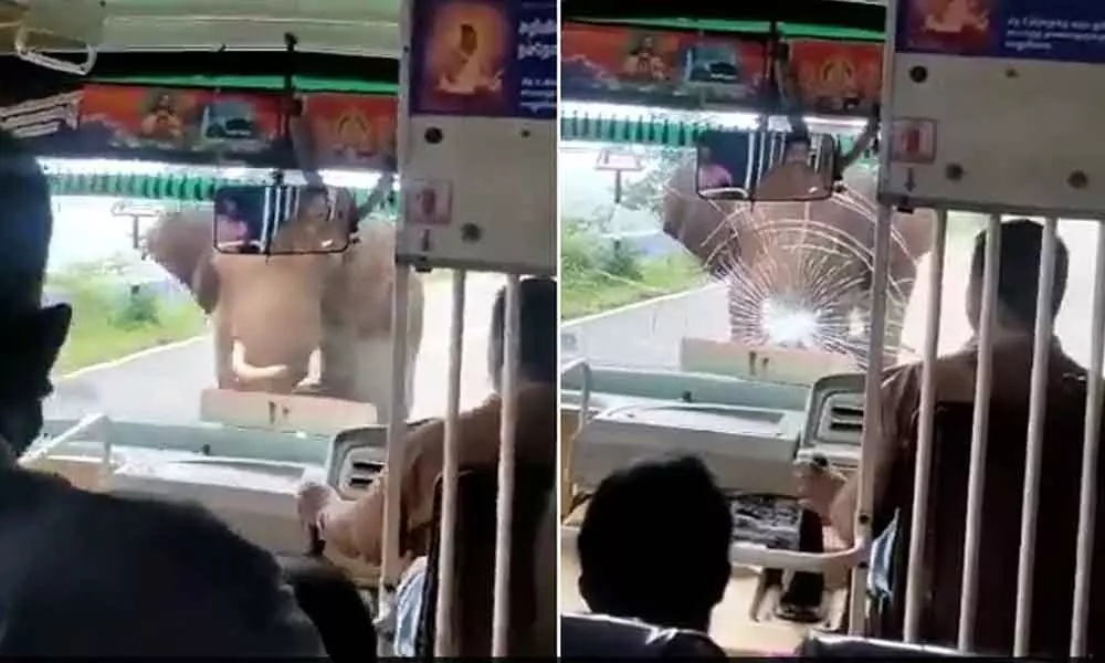 An elephant was filmed shattering the windshield of a bus