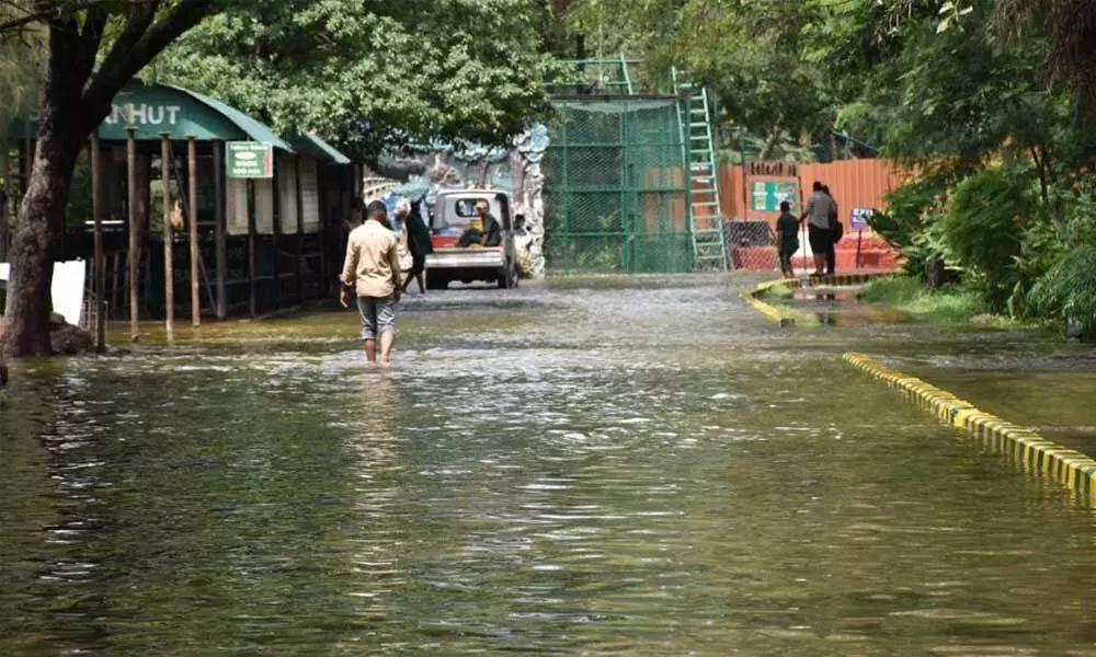 Weather update: IMD issues Orange alert to four districts in AP, predicts heavy rain