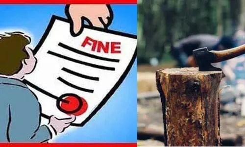 For representational purpose only