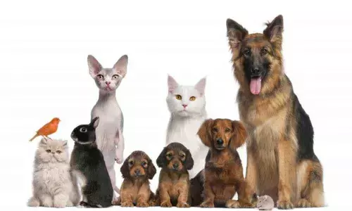 Representational image