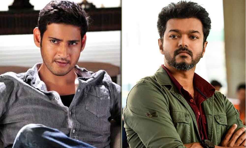 Mahesh Babu to come for Thalapathy Vijay?