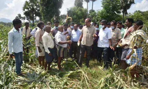 Agriculture Commissioner H Arun Kumar interacting with the farmers in Cheepurupalli mandal on Thursday