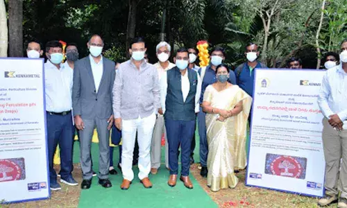 BBMP to build percolation pits in JP Bio-diversity Park