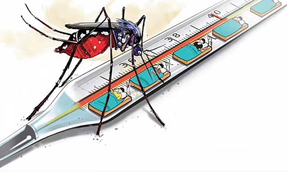 286 Dengue Cases Have been Reported In Madurai