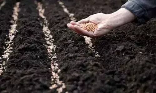 Sow seeds of trust in market reforms