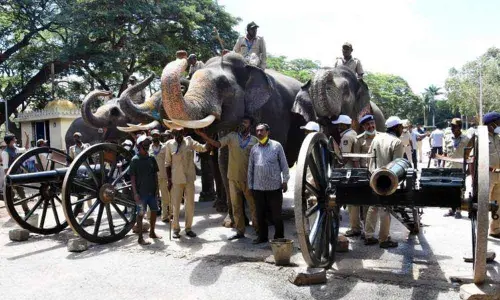 Canon firing rehearsal successful