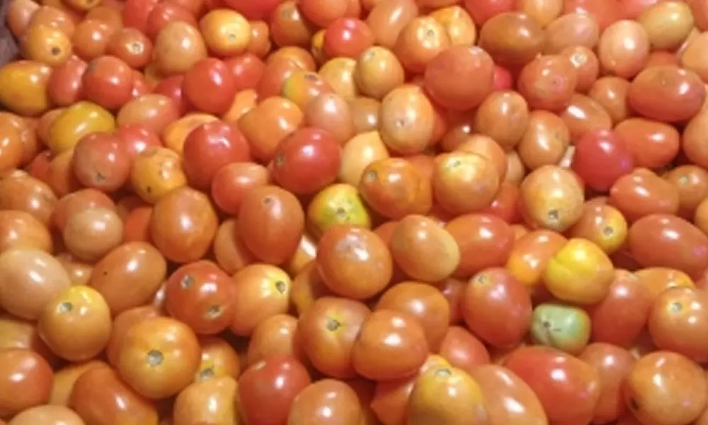 The retail price of tomatoes has shot up in various districts of Karnataka
