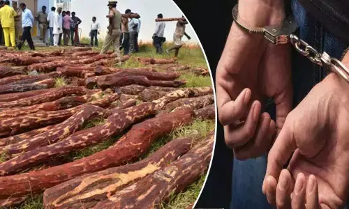 For representational purpose