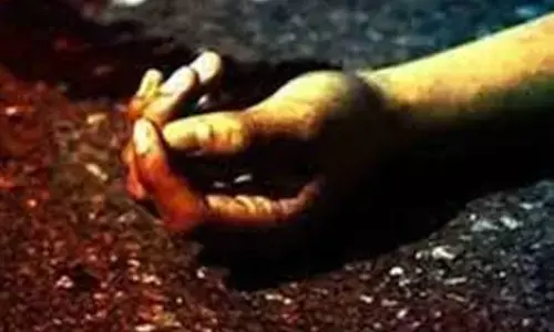 For representational purpose