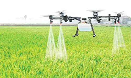 AI, other tech tools can help world go hunger-free