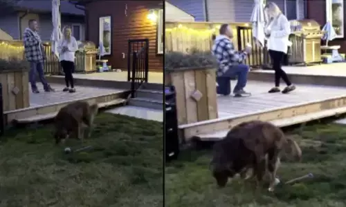 The internet has been buzzing with a trending video of a man proposing to his fiancée for marriage.