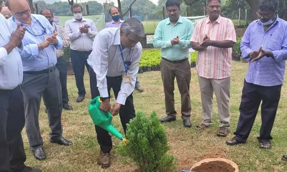 Visakhapatnam: HPCL launches mega plantation drive