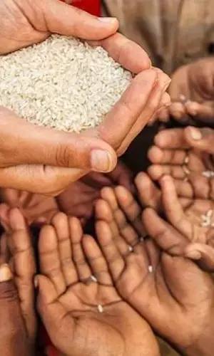 Global Hunger Index 2021: only 15 nations are worse than India