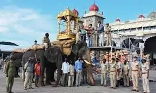 CM Basavaraj Bommai to inaugurate ‘Jumbo Savari’ today