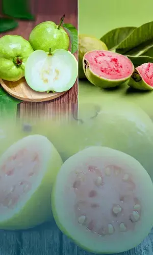 Difference between White Guava and Pink Guava