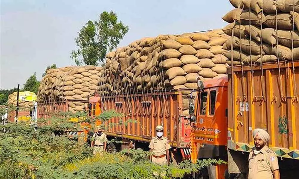 How lack of MSP driving traders to smuggle paddy into Punjab, Haryana