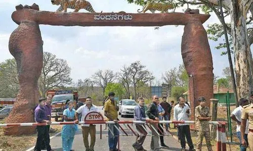 Tamil Nadu steps up screening of passengers arriving from Kerala