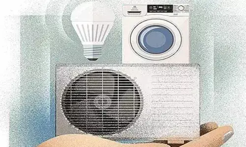 PLIs to country’s rescue, bring in big investments