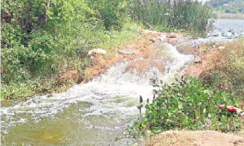 Jalpally lake turns haven for encroachers