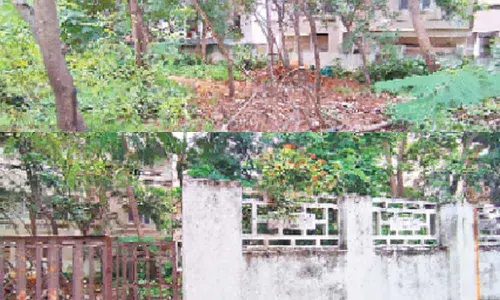 Karwan denizens demand beautification of parks