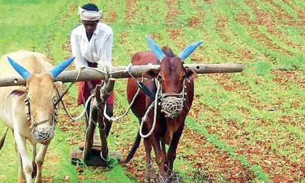 Karnataka farmers wait for irrigation subsidy; dealers ask govt to clear dues