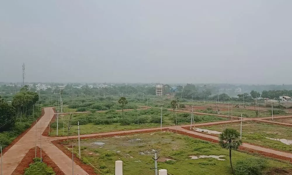 Industrial Park lay out at RB Patnam village, Somolkot mandal in East Godavari district