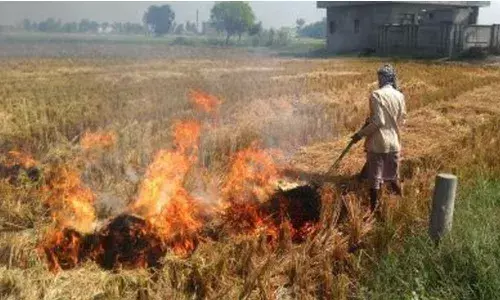 Farm fires go unnoticed in other States