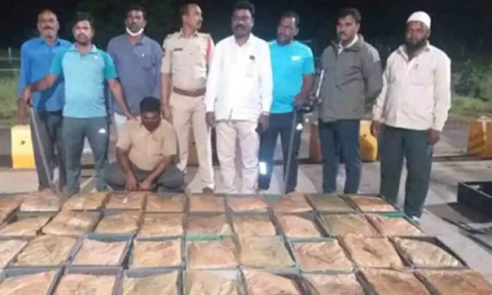 240 kg ganja seized in Sangareddy