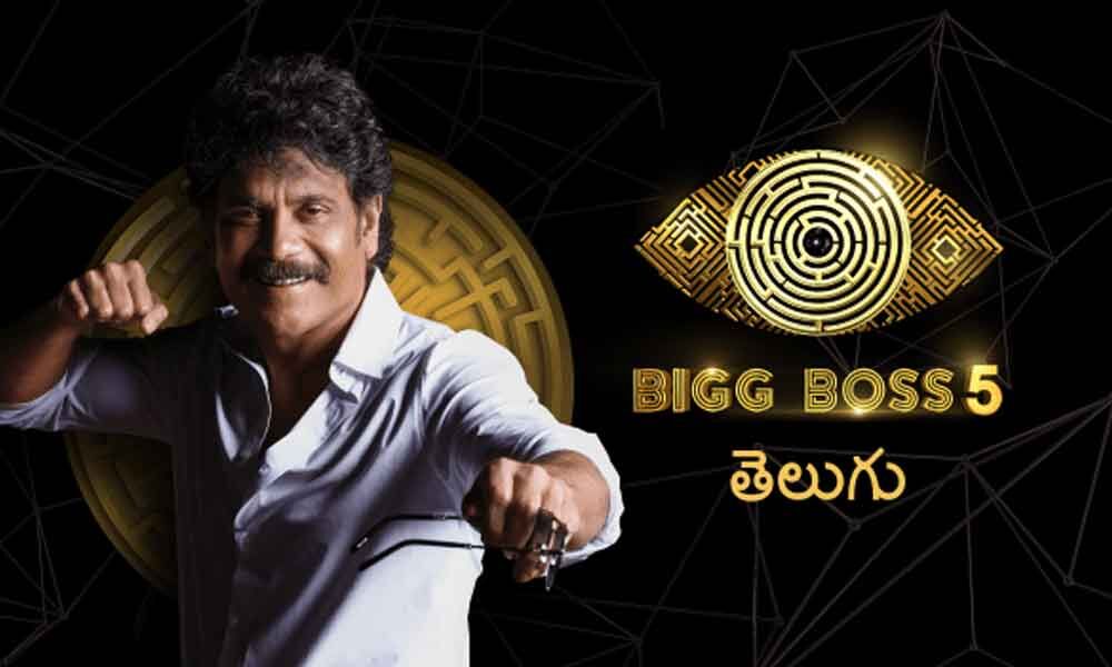 Bigg Boss 5 Telugu: Episode 49 Highlights