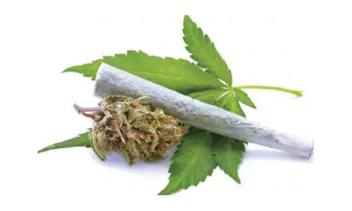 Narcotics queer political pitch in Andhra Pradesh