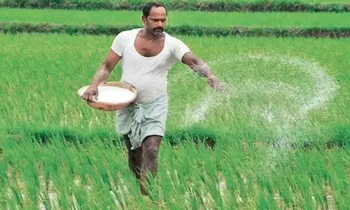 Sri Lanka receives first consignment of non-harmful Nano Nitrogen liquid fertiliser from India: Official