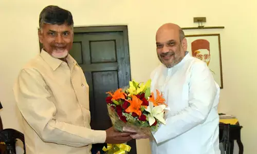 N Chandrababu Naidu and Union Home Minister Amit Shah