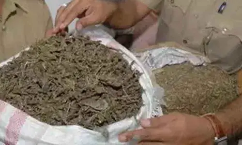 Representational Image