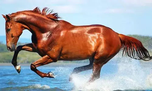 (Madison Hooper/Getty Images)