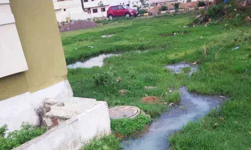 Blue Birds Colony mired in civic mess