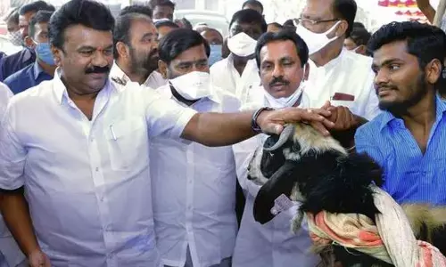 Sheep distribution from Oct 24 in Telangana: Talasani