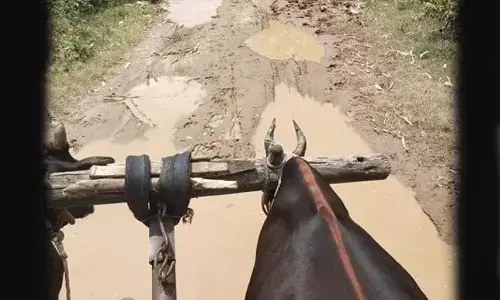 Bogged down in muddy road, villagers cry for help