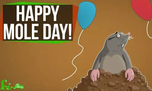 Mole Day