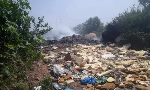Garbage burning leaves lake gasping for breath